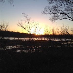 Meet your Posher, Izzy